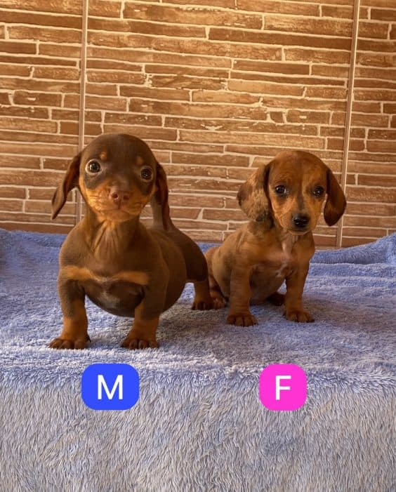Publicação do Instagram 6